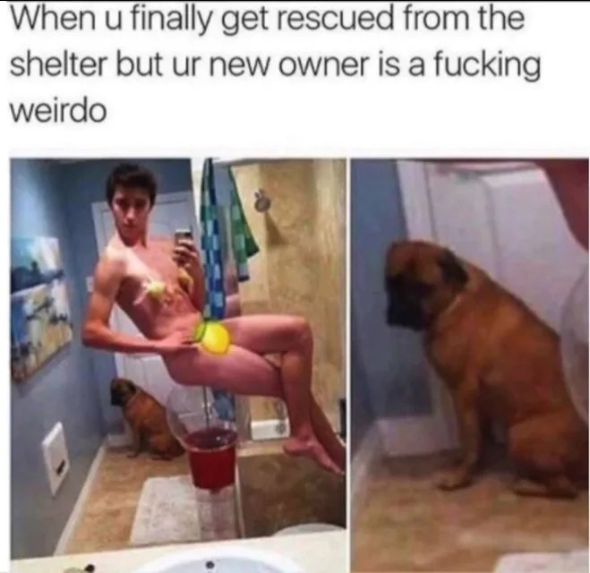 1000035168
