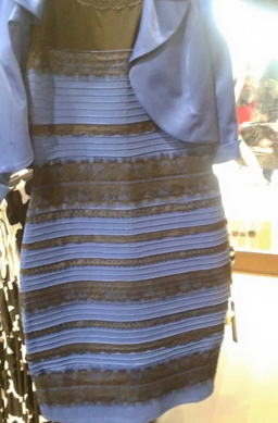 The dress blueblackwhitegold