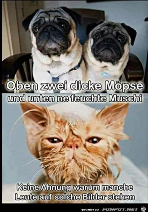 Moepse und Muschi