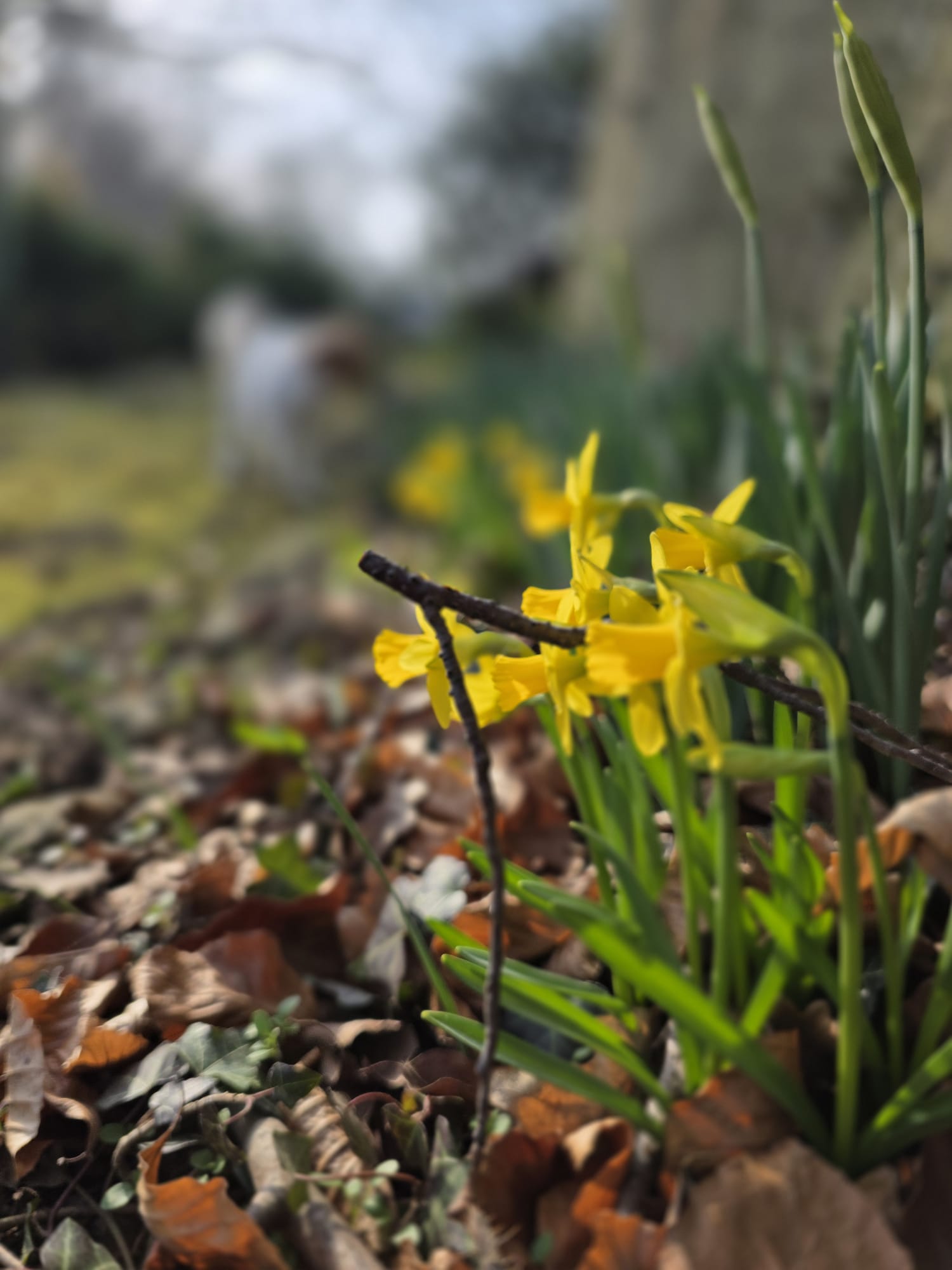 WhatsApp Image 2026-03-08 at 16.21.48