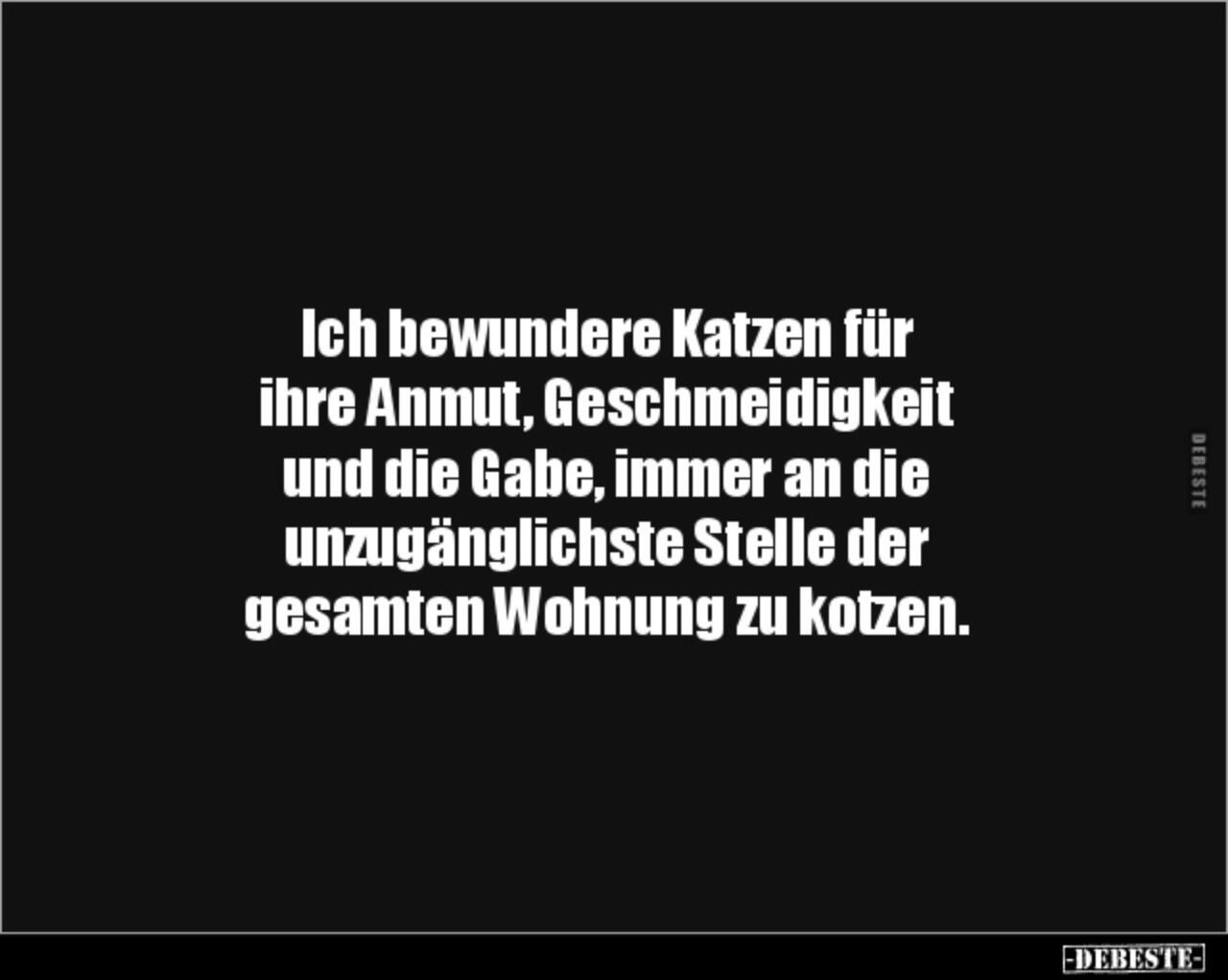 img-d234bd57