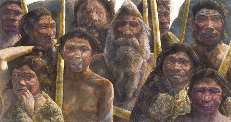 C0103579-Homo heidelbergensis family art