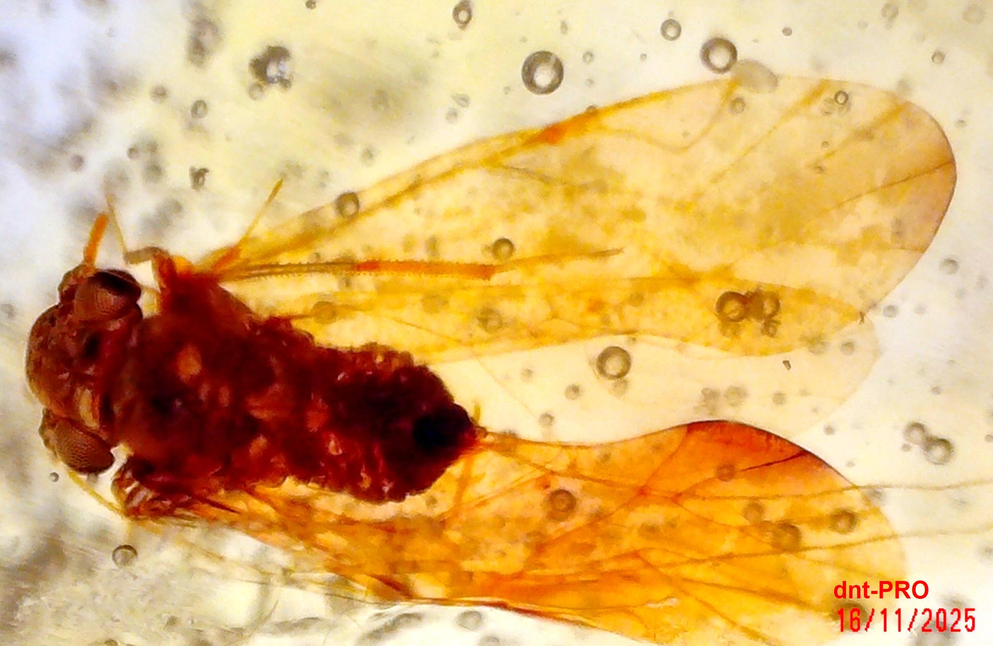 2025 1116 202341 002