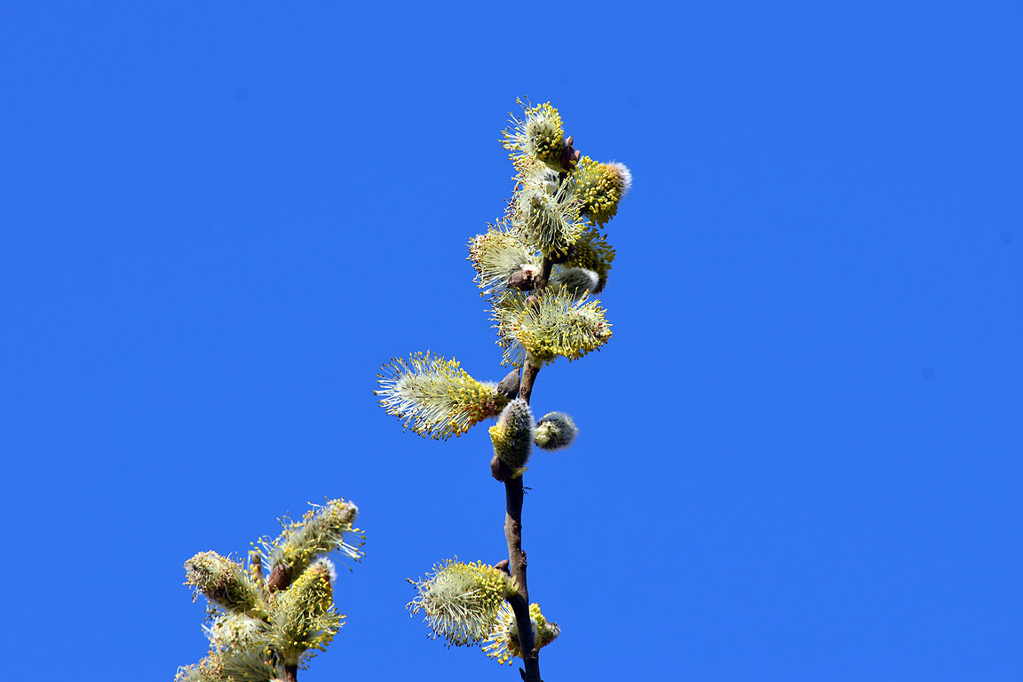 2e8c229b-fdc8-4d3e-9a7a-2cdb04d5a882