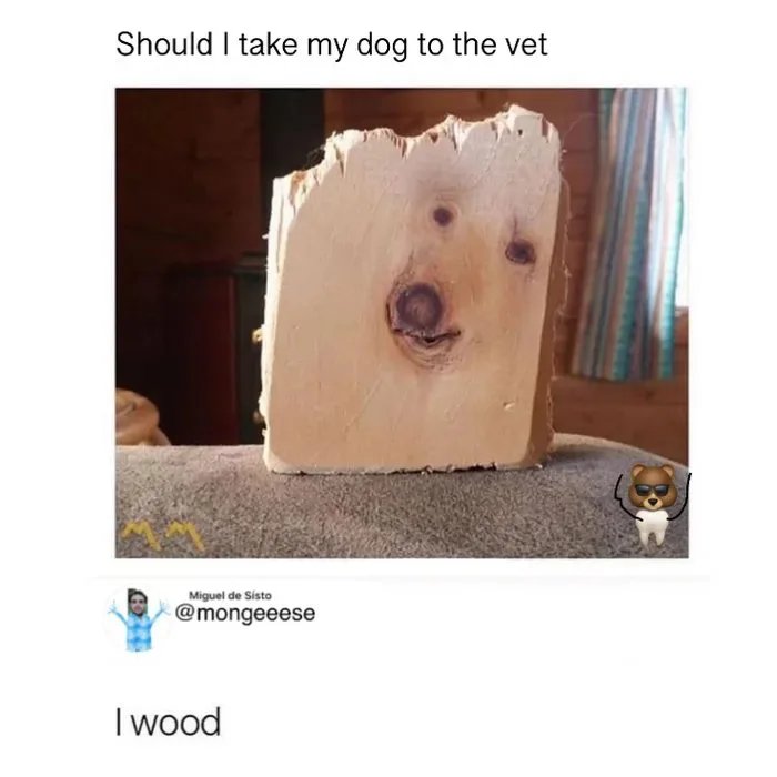 1000035344
