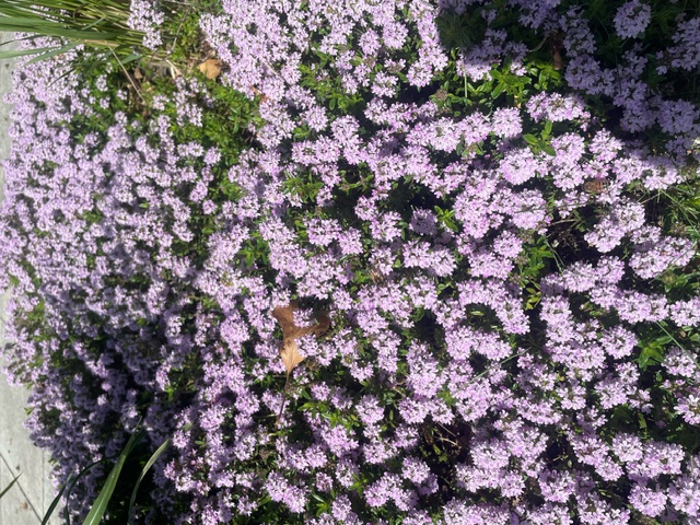 image0