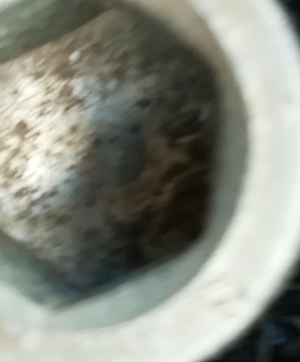cluhitdvlwia IMG 20250705 083146.jpg con