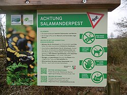 Salamanderpest-Schild Wanderparkplatz Im