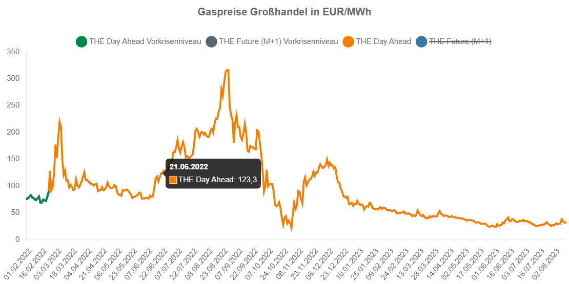 Gaspreis