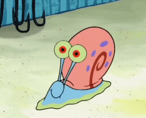 snail-gary-spongebob-dog-roll-y5906vix66