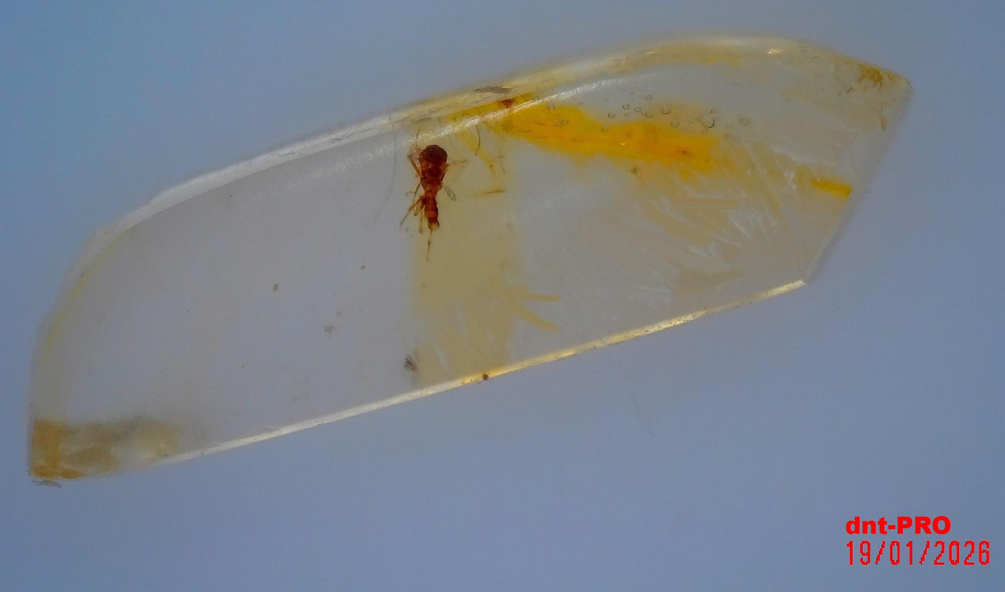 2026 0119 195726 001