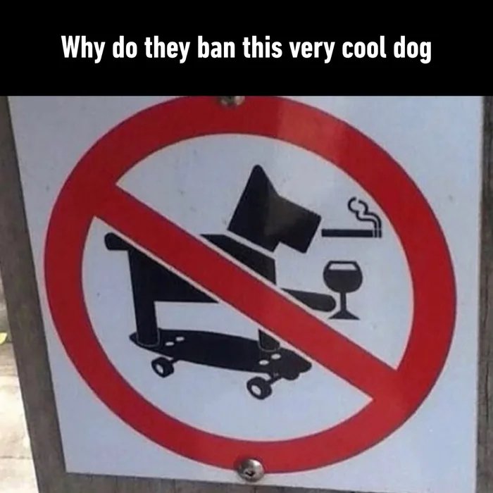 1000033656