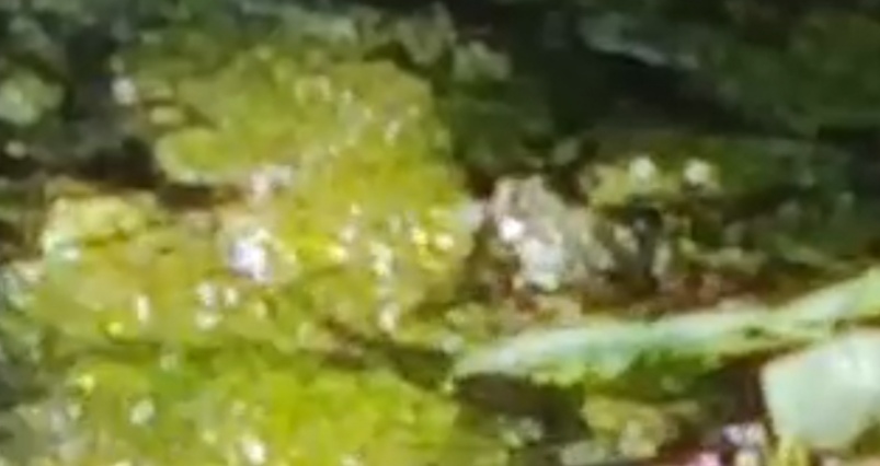 IMG 20240625 160227