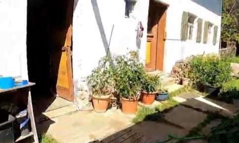 Screenshot 20260817-222434 YouTube