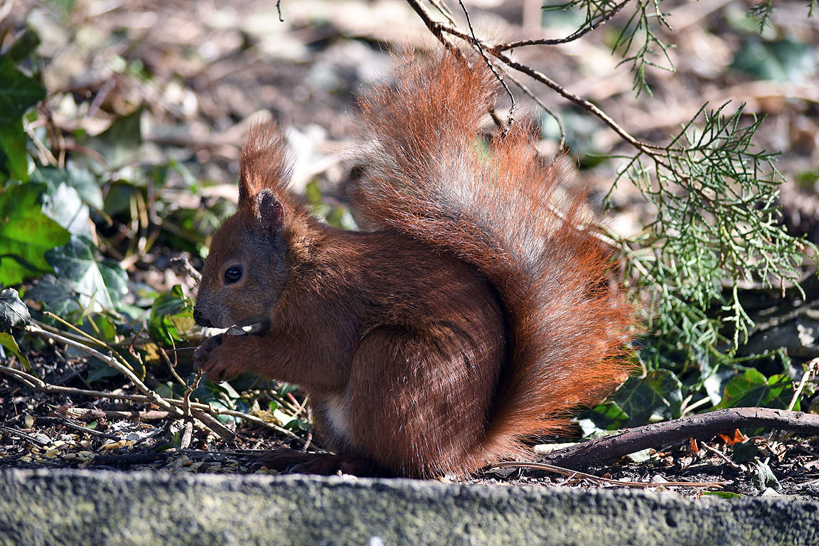 0a6116e6-3a69-40d0-a31a-6af3ff2ace91