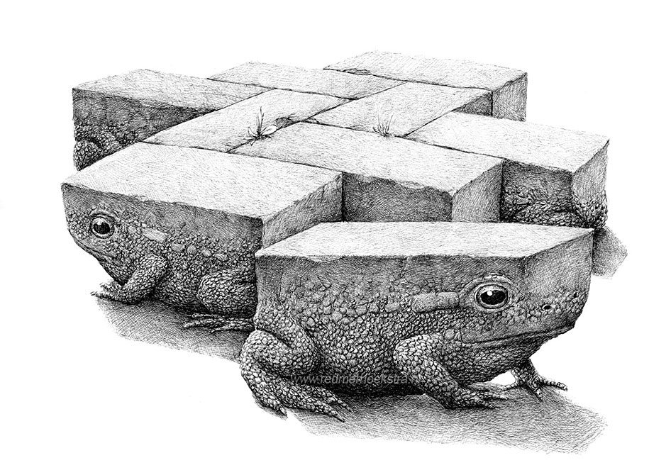 surreal-drawings-redmer-hoekstra-5