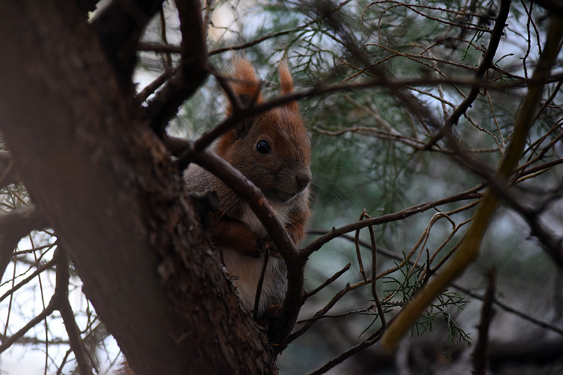 37d7edf9-5beb-4598-b57d-7596449e2fea