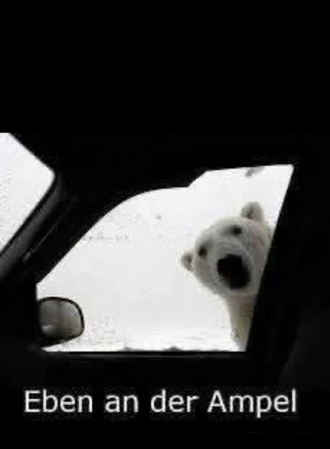 Screenshot 20260109 115116 WhatsApp