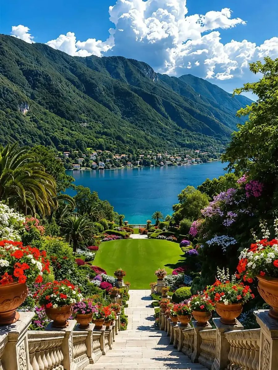 Vasi di fiori ... - Copy
