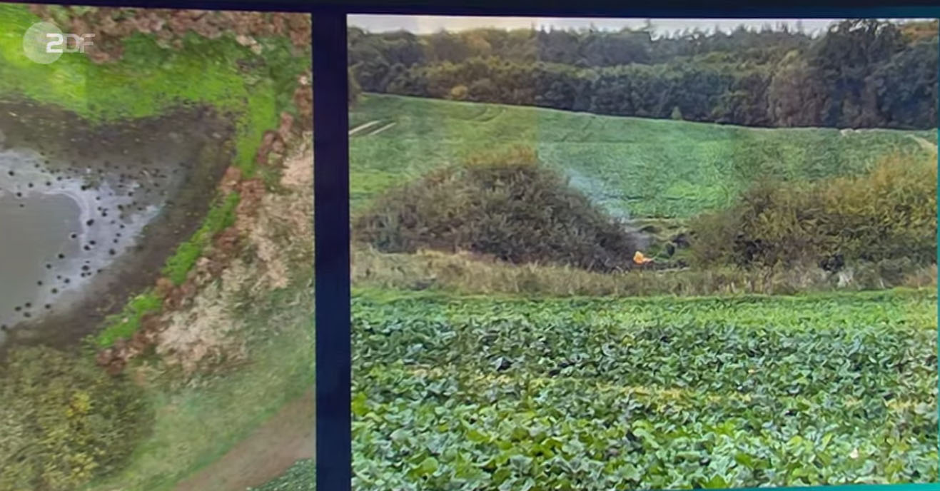 fabianbrandrauchlinks