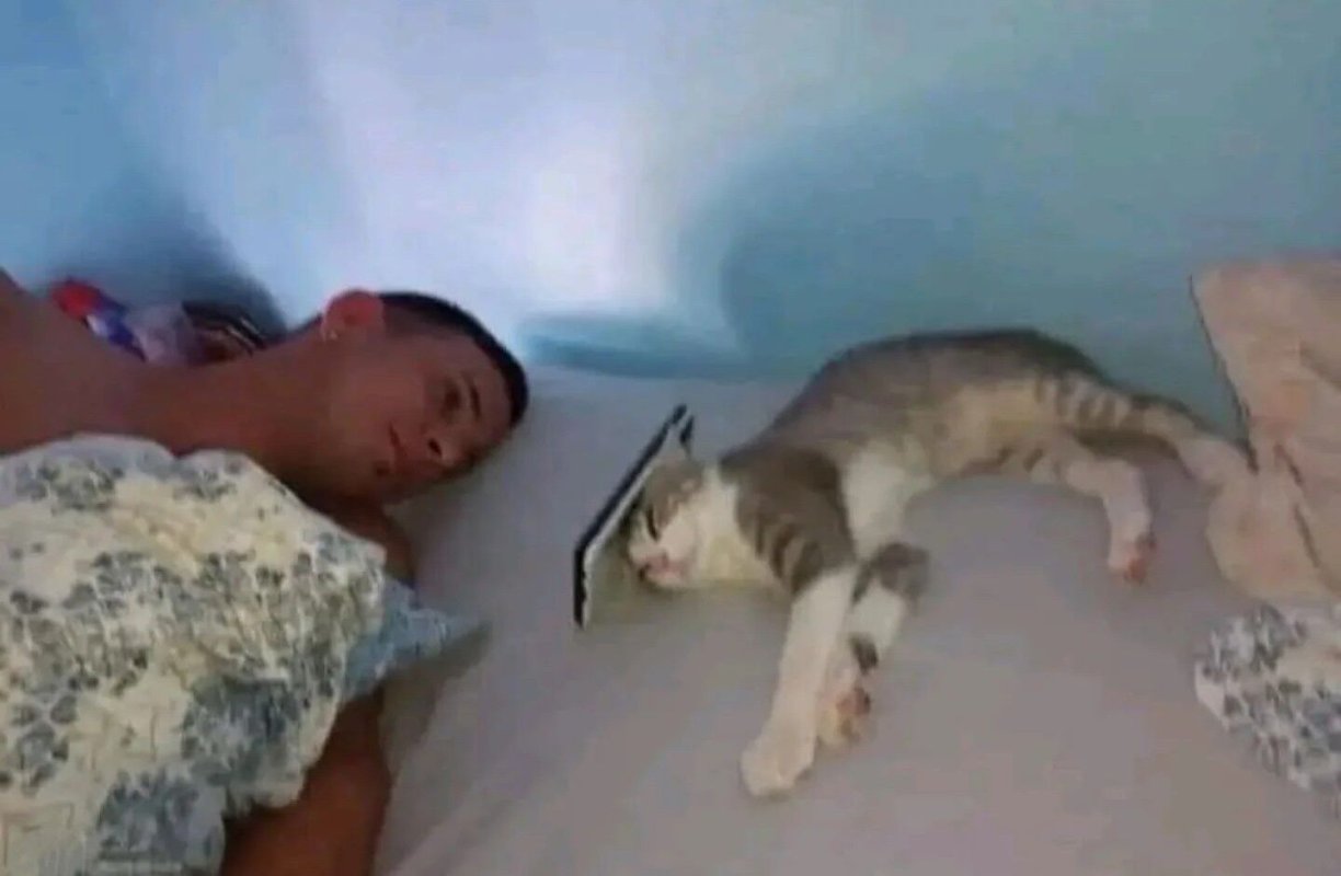 7128559-08d6703f8b6879d9b68ef42903f9a9b6