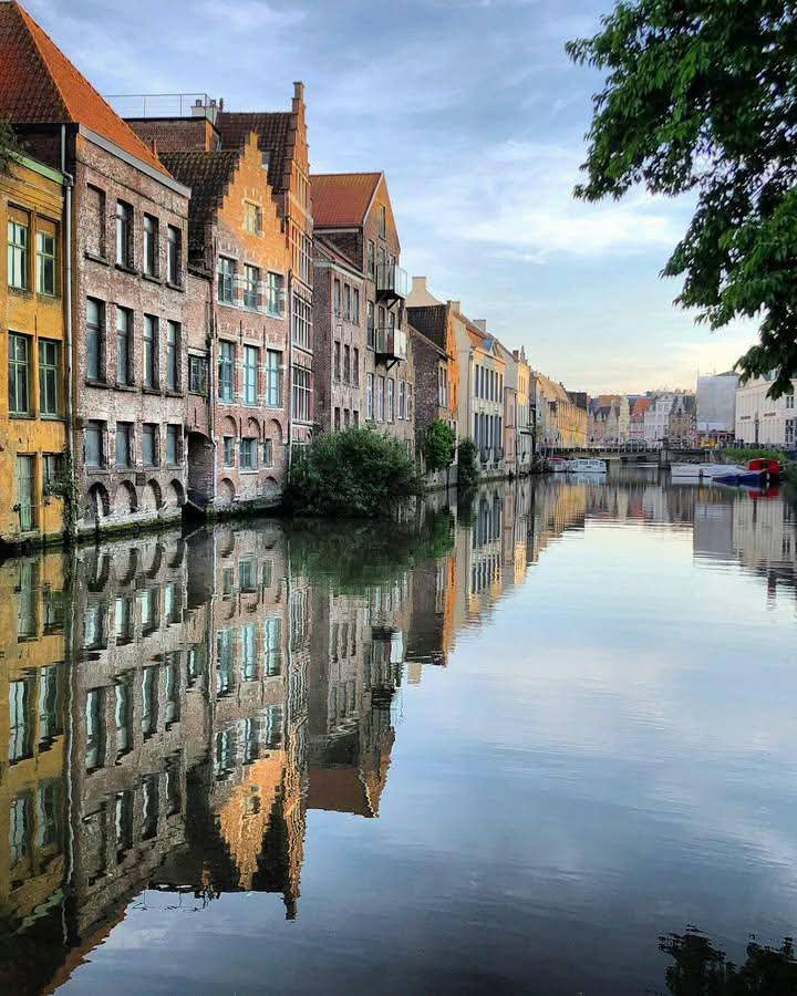 gent belg - Copy
