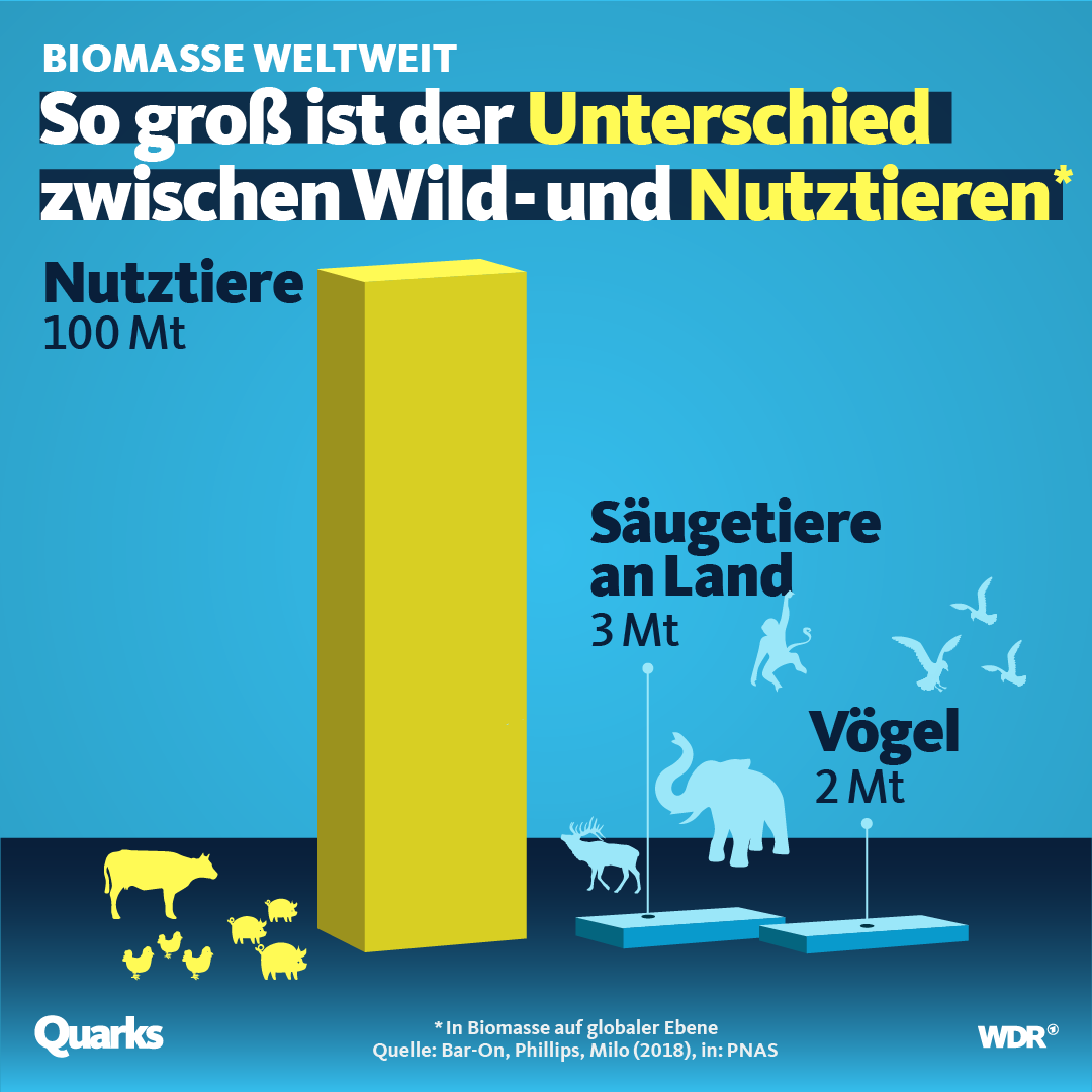 Folgen Des Klimawandels Für Die Natur Gesellschaft Und Politik Seite 240 Allmystery