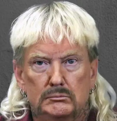 Funny-Donald-Trump-Jokes-And-Puns-758x42.webp