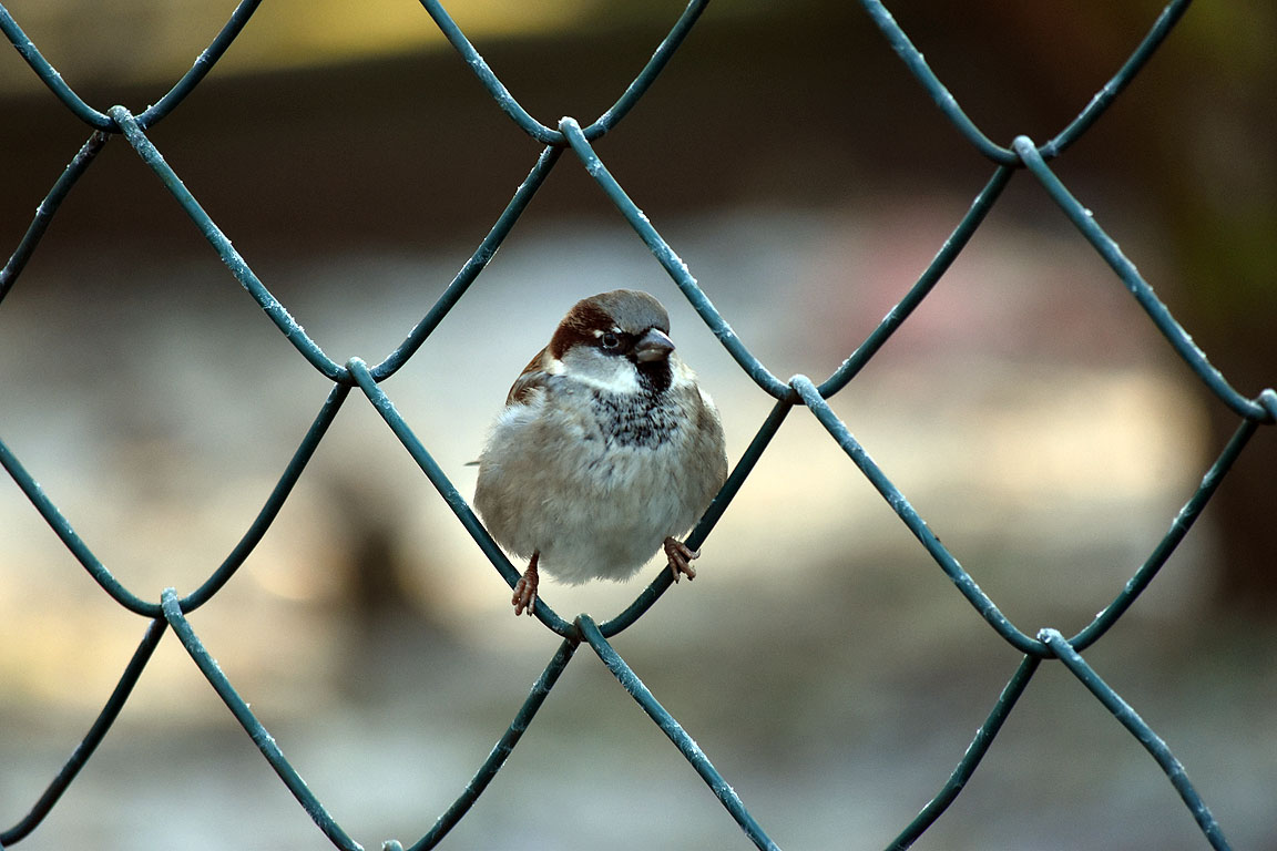 73c7b846-35f2-4587-a5e0-85cfbeed9f72