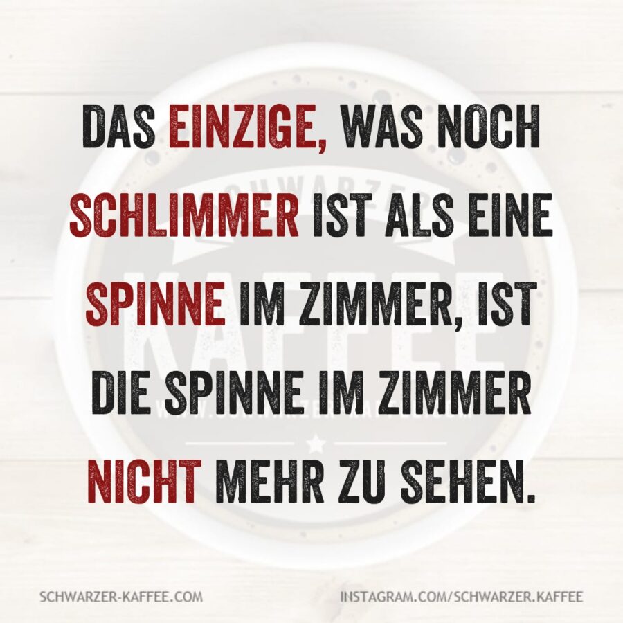 schlimmer-als-eine-spinne-im-zimmer-scal