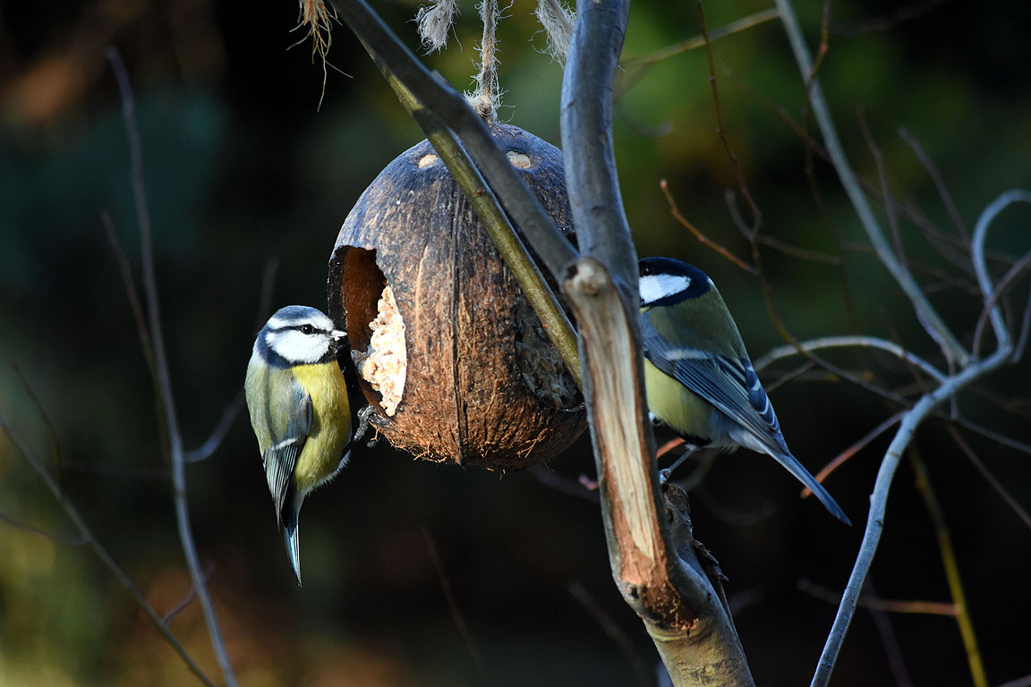 0b7819cd-964a-40f1-b808-9e86c7610a57