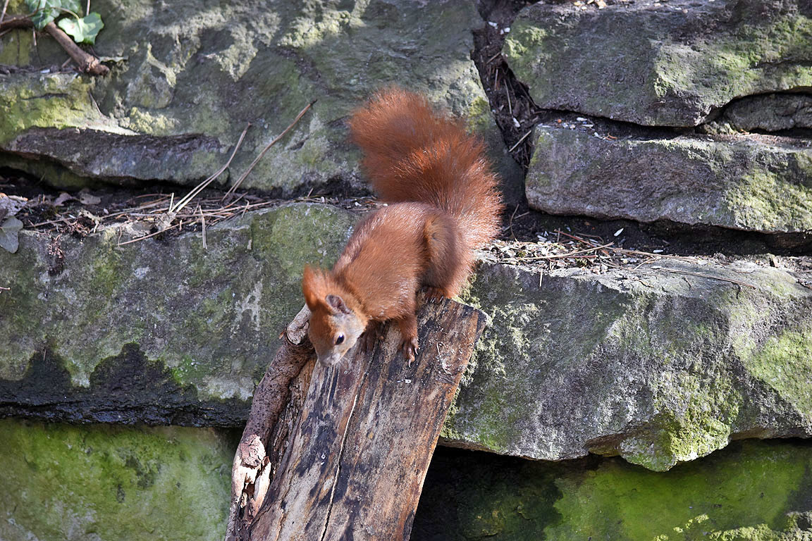 28e49348-b15d-4faf-8fb1-20b519847704