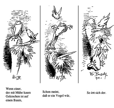 fliegenderfrosch