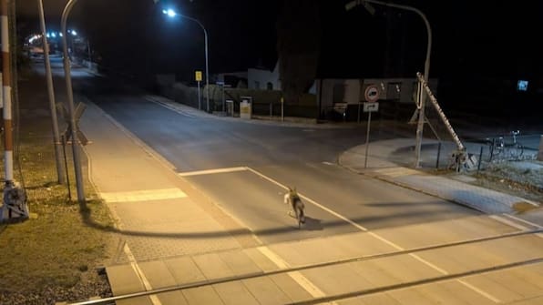 5PQIMUCCGJB4HIIS6Q6TRSLEWU