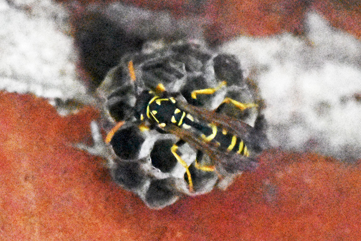 fa4074ee-9cf4-4233-b9dc-c19c651e9107