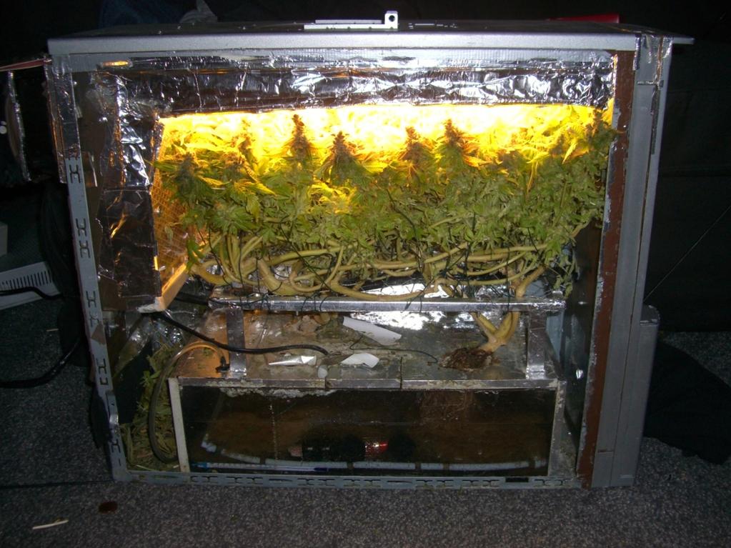pc-case-grow-stealth-cannabis