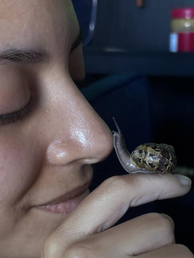 snail-kisses-v0-eqqcw2zgruxe1
