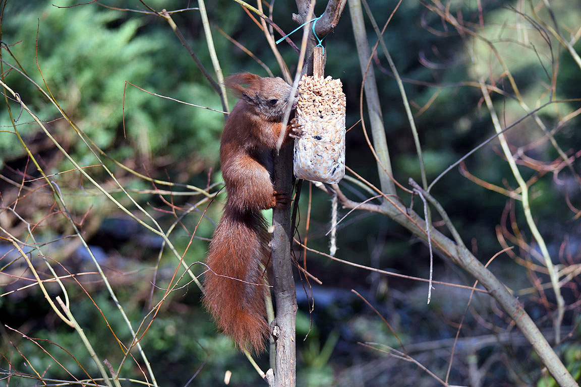 22950532-c9cc-4cf1-9197-fa02a259ee76