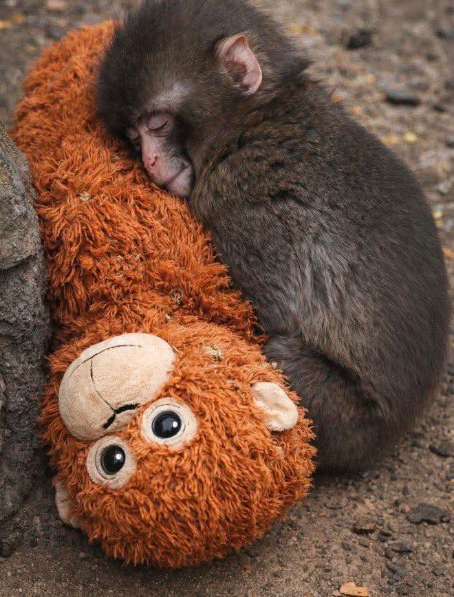 FB IMG 1771686378203