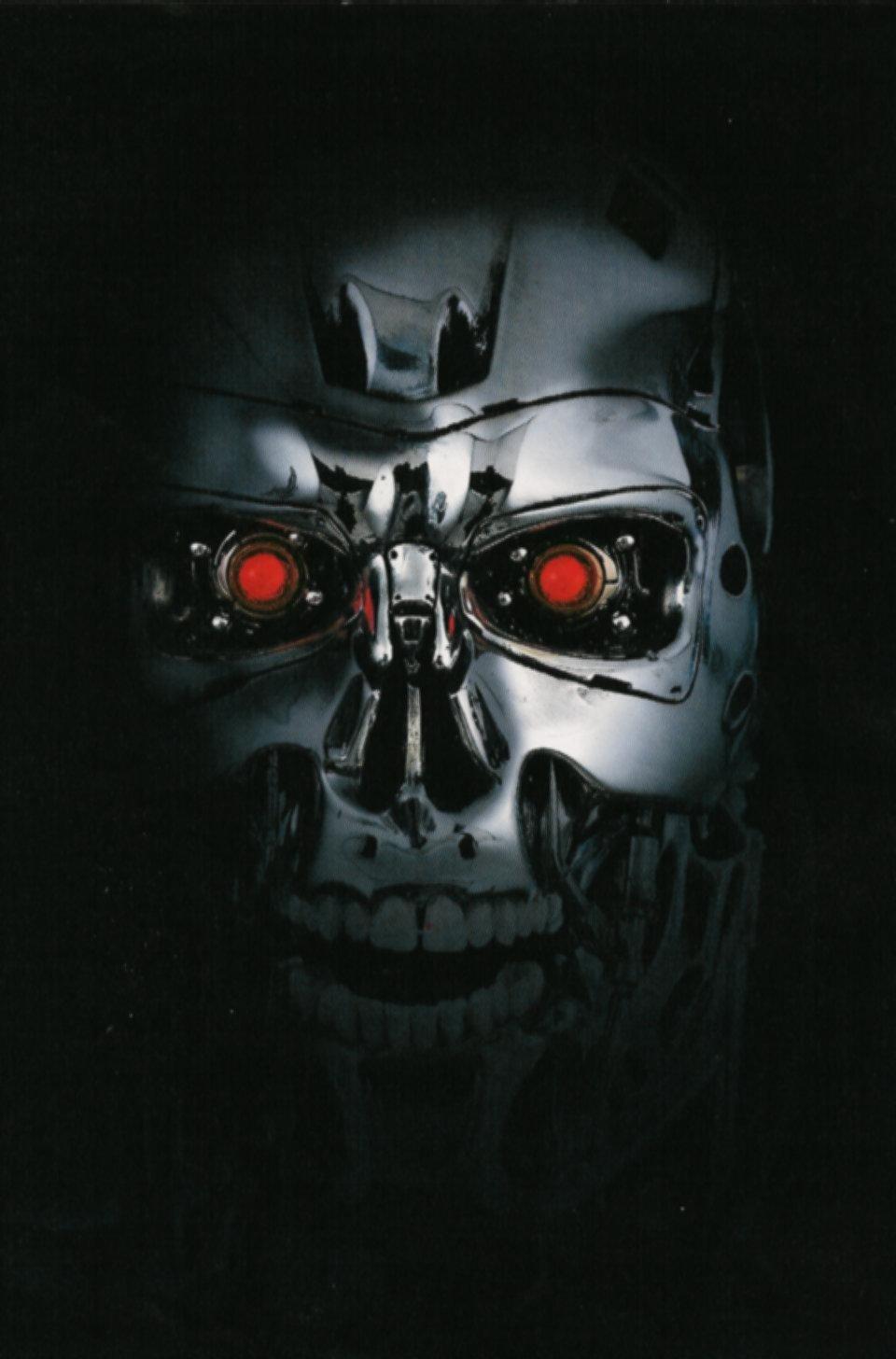 Terminator skull 1 