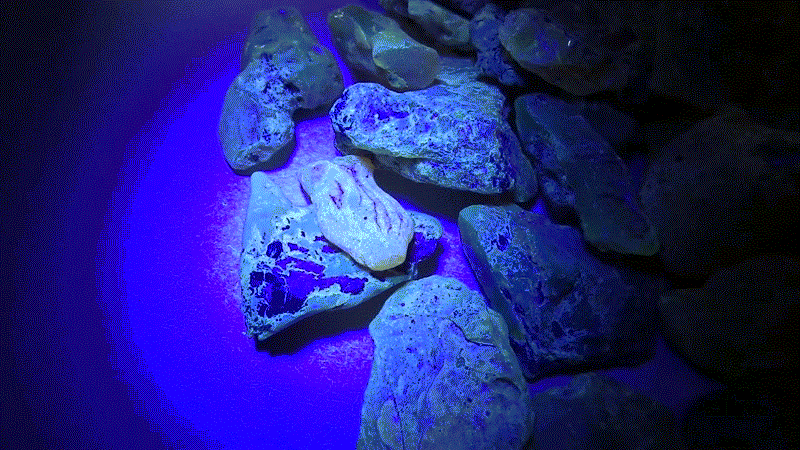 sl