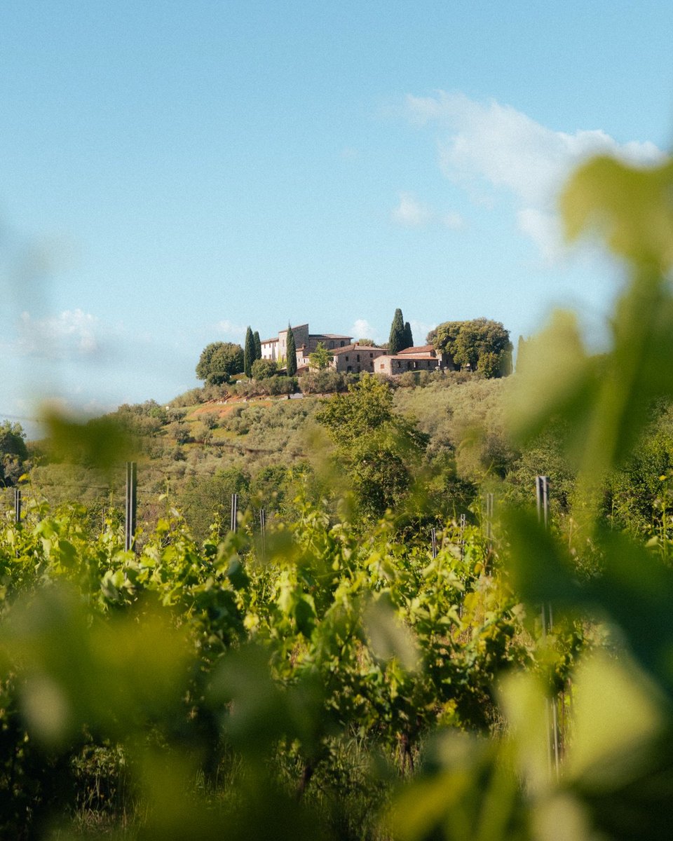 La Toscana 3 - Copy