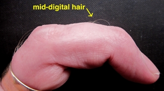 mythdigithair