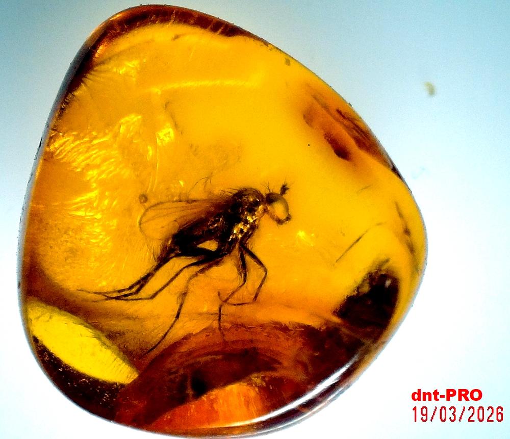 2026 0319 191201 002