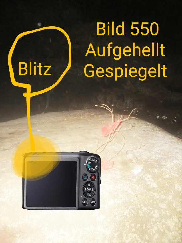 1000184054-overlay3