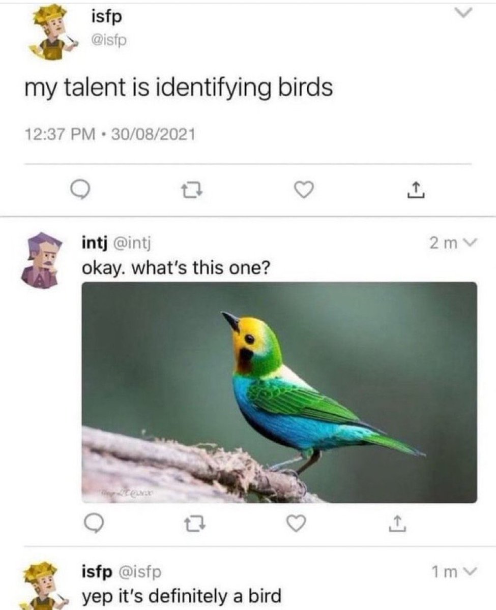 def a bird - Copy