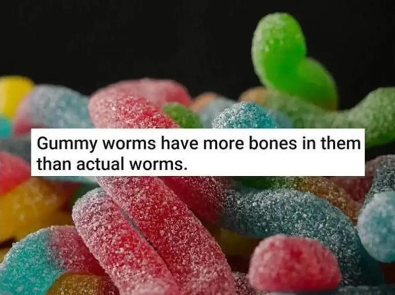 gummy-worms-have-more-bones-them-than-ac