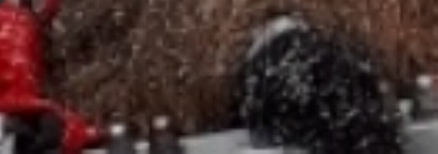 Screenshot 2025-11-07 190809