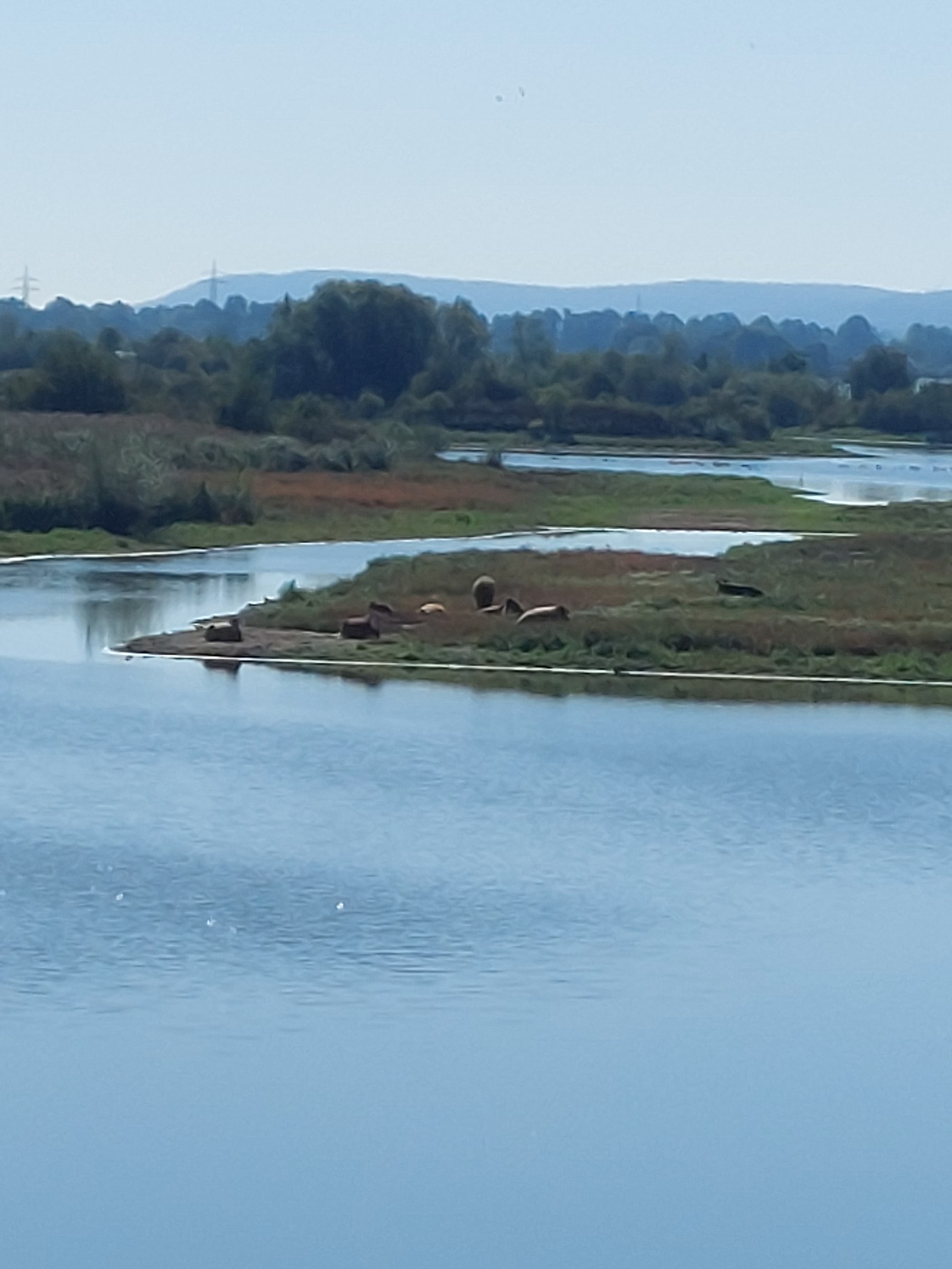 Vogelinsel 28