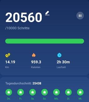 Screenshot 20211201-192505 Pedometer Ste